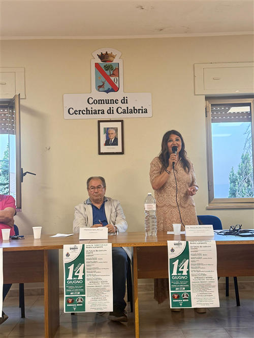 Sanità territoriale: analisi e proposte - 14/06/2025 - Sala Consialiare "D. Varujan"